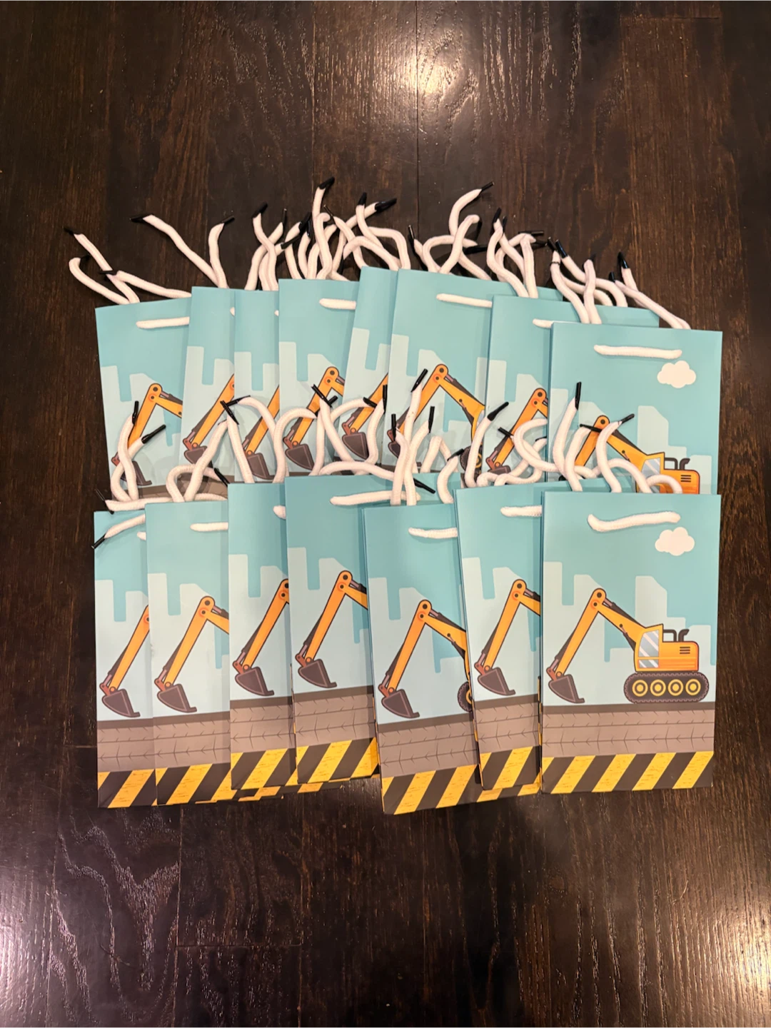 Set of 15 Party Gift Bags