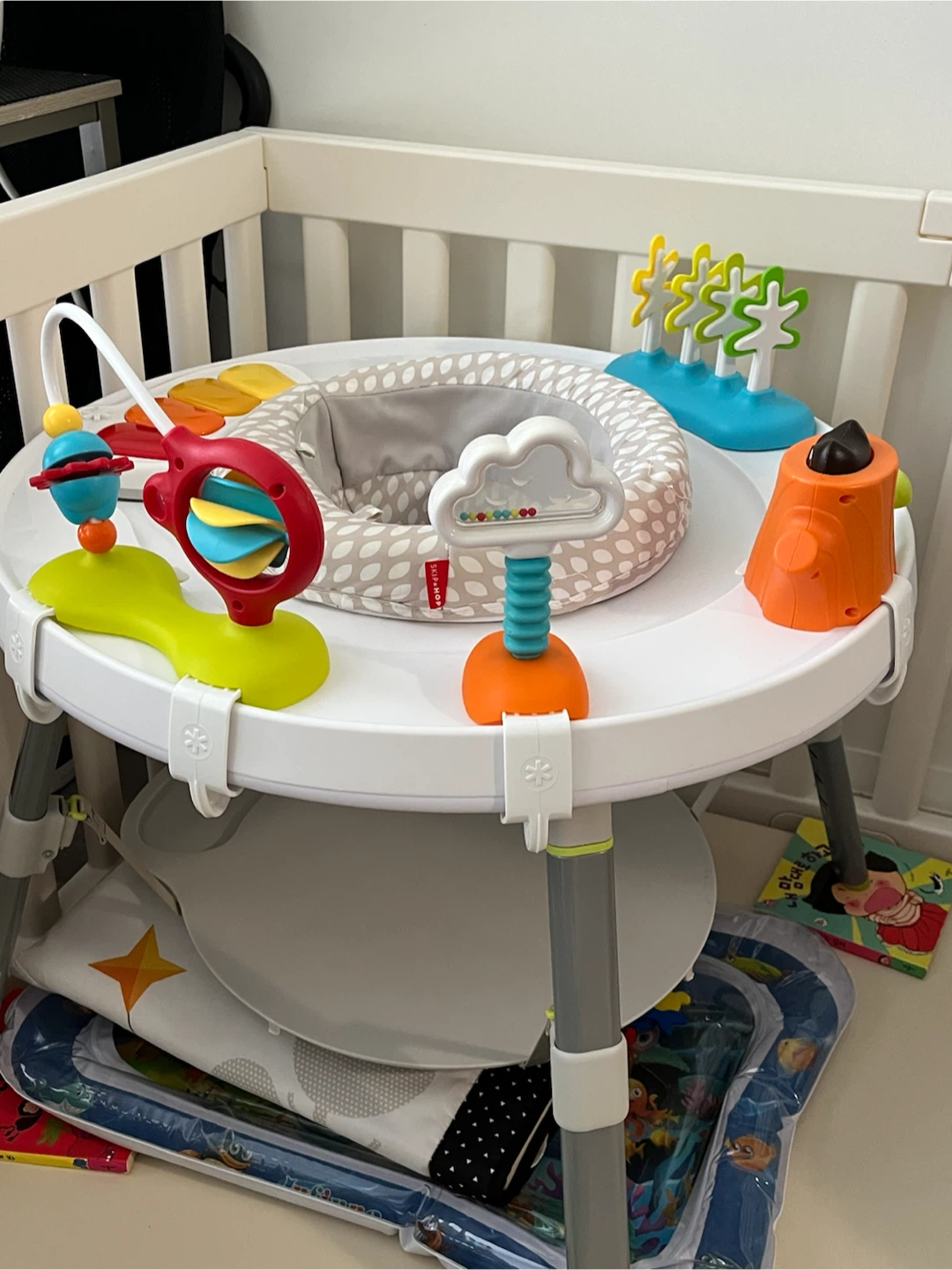 Skip Hop Explore and More Baby Activity Center