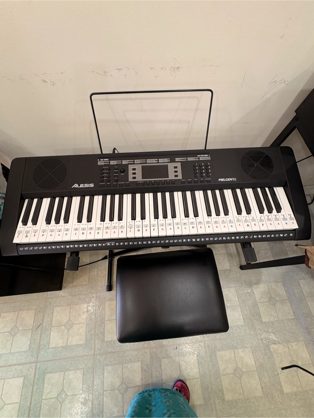 Alesis Melody 61 Keyboard Set - photo 2