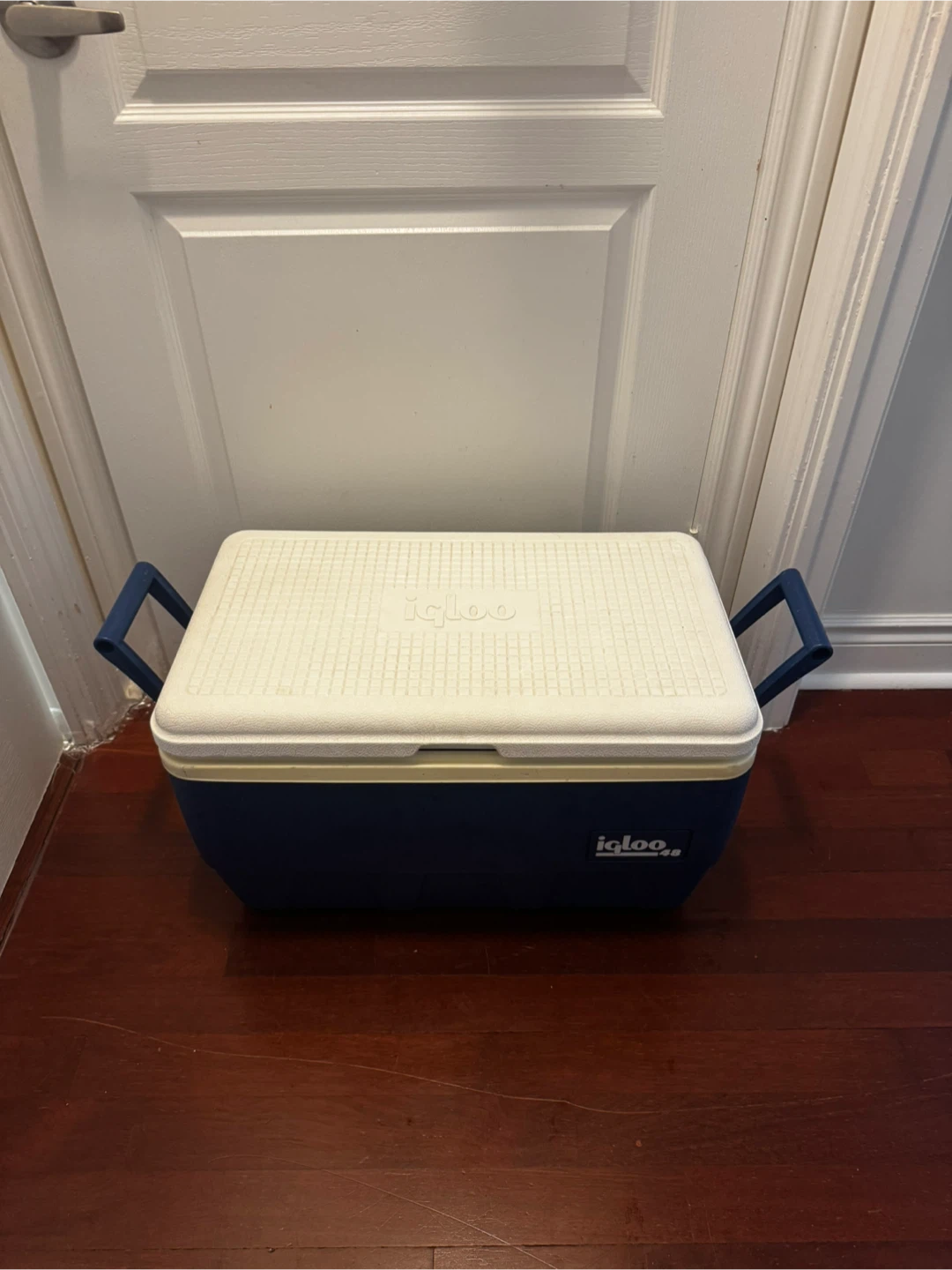 Igloo 48 Quart Cooler