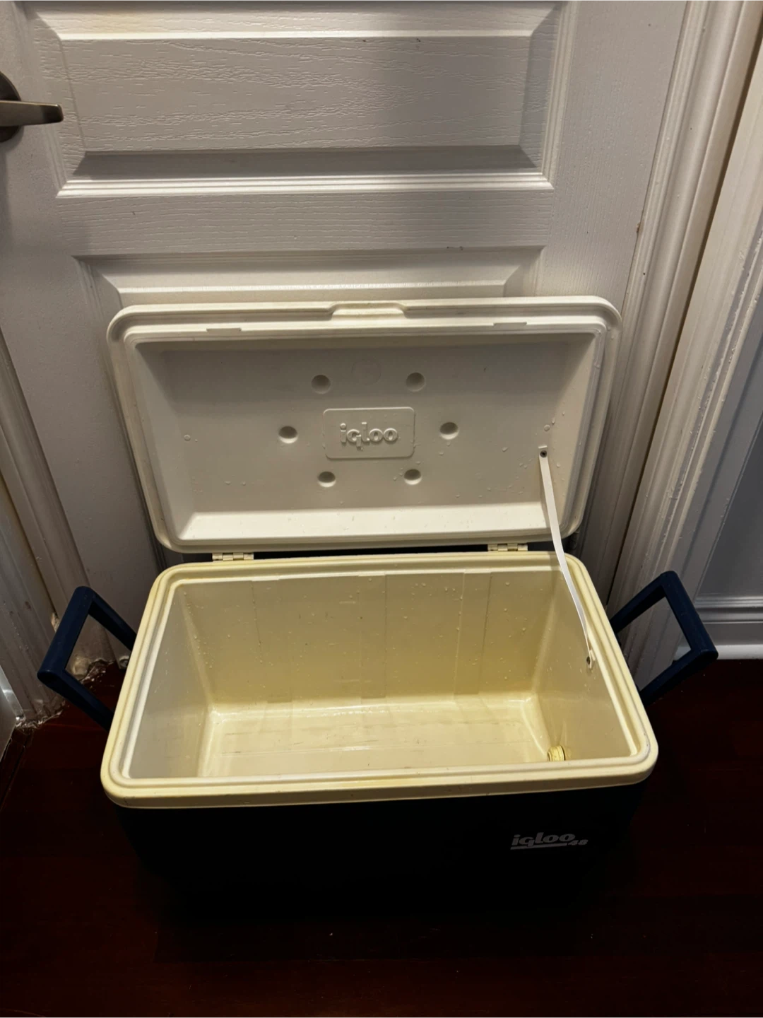 Igloo 48 Quart Cooler - photo 2