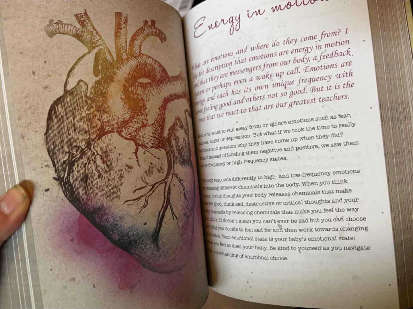Feelosophy of Birth Pregnancy Journal (NEW) - photo 4