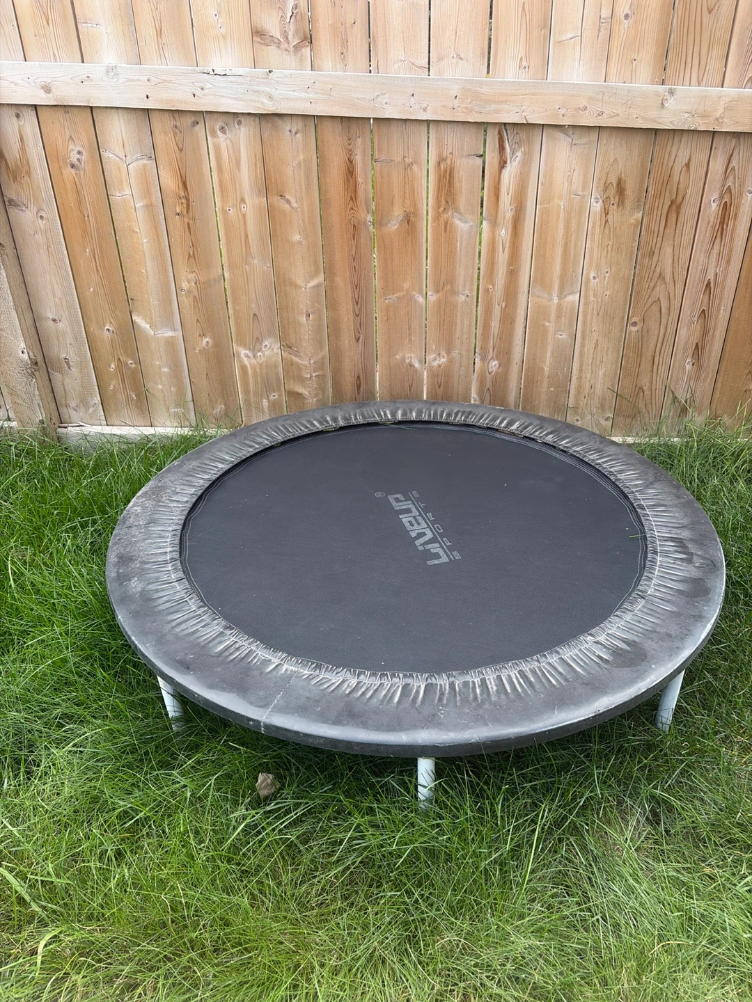 Liveup Sports Mini Trampoline