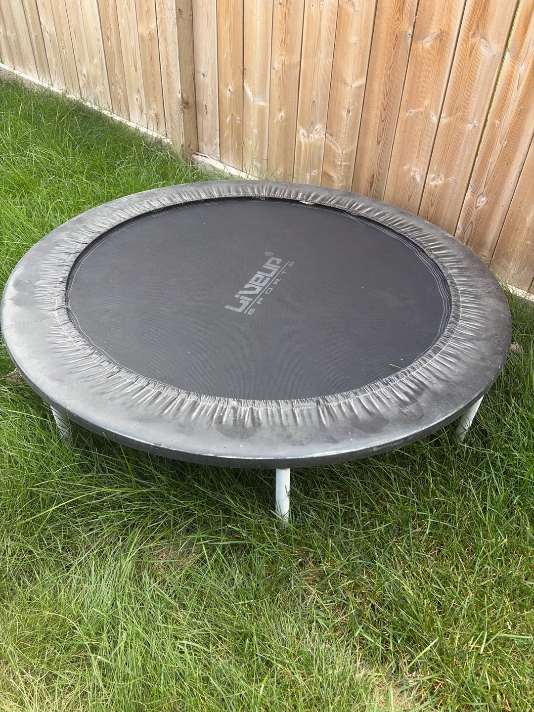 Liveup Sports Mini Trampoline - photo 2