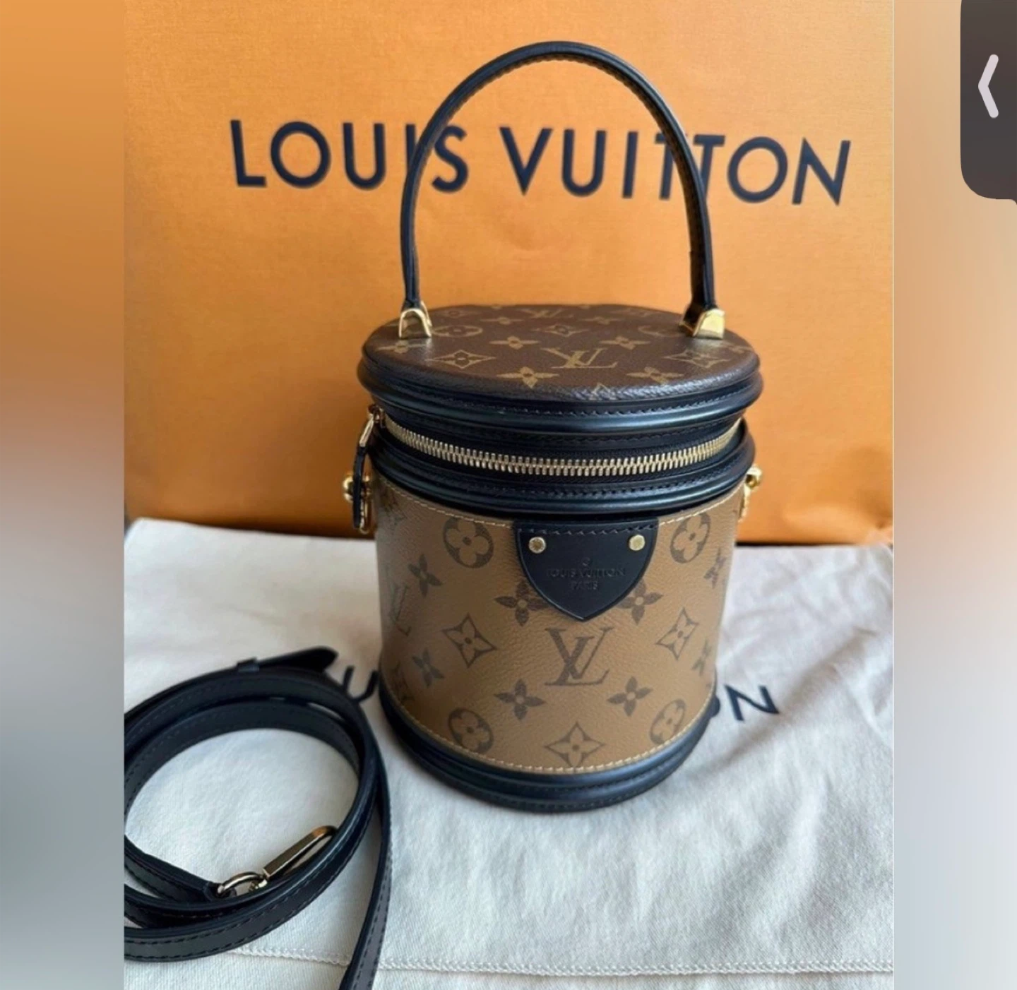 Louis Vuitton Cannes Handbag
