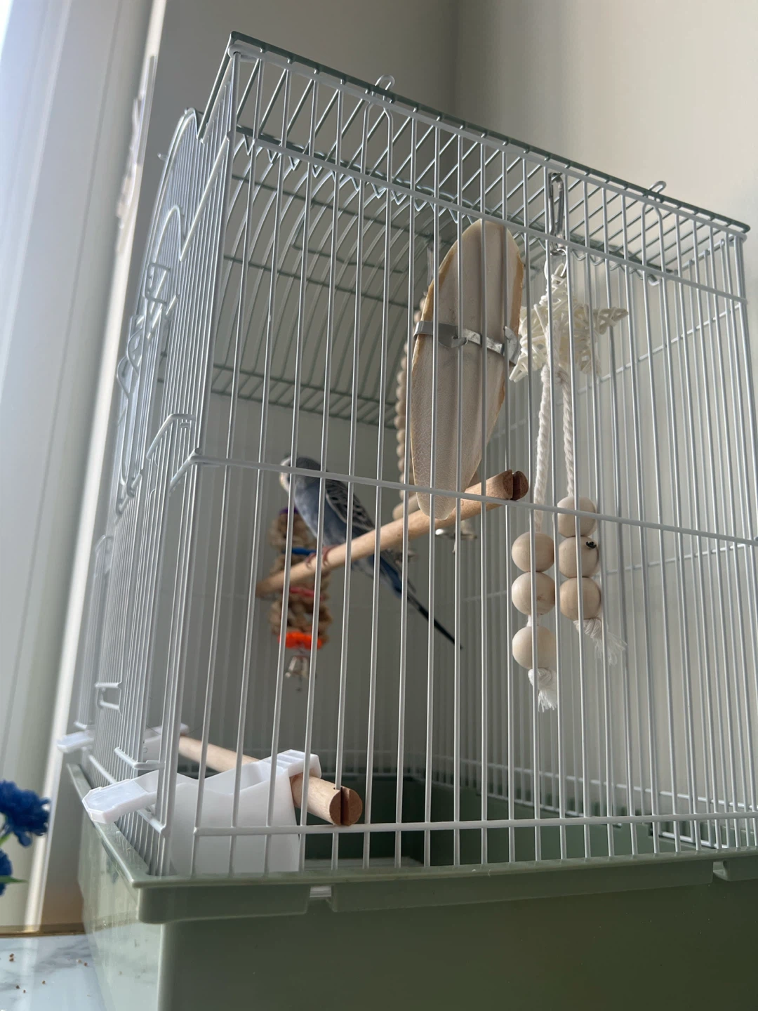 White bird cage with accessories