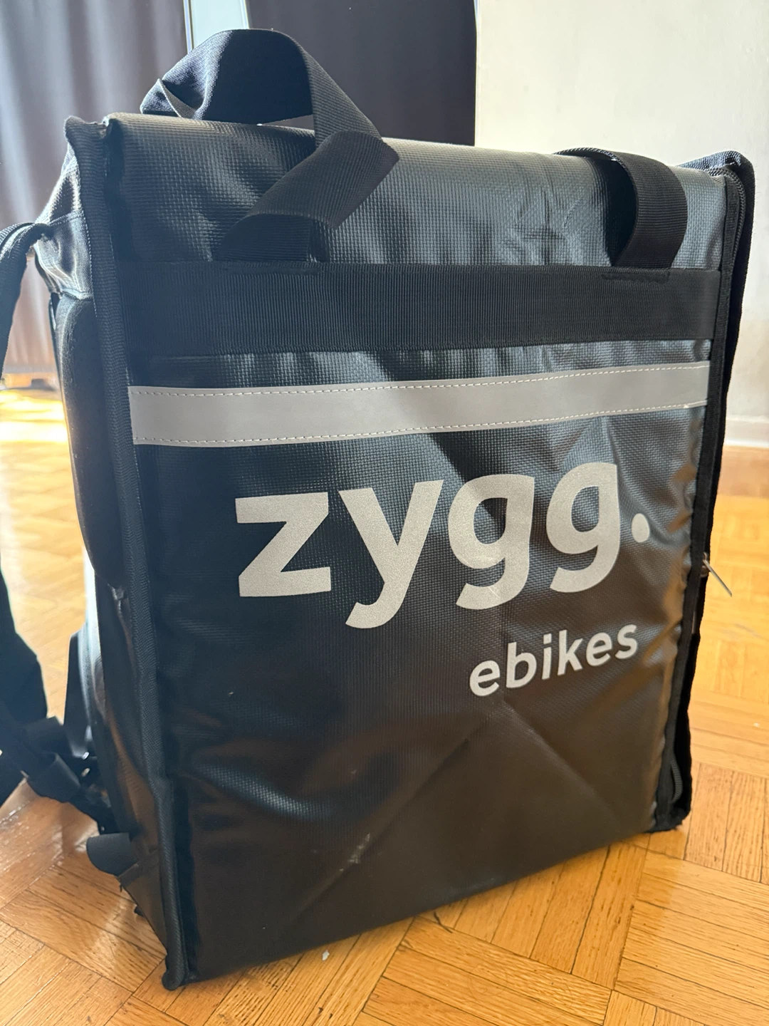 Zygg Ebikes insulated delivery backpack