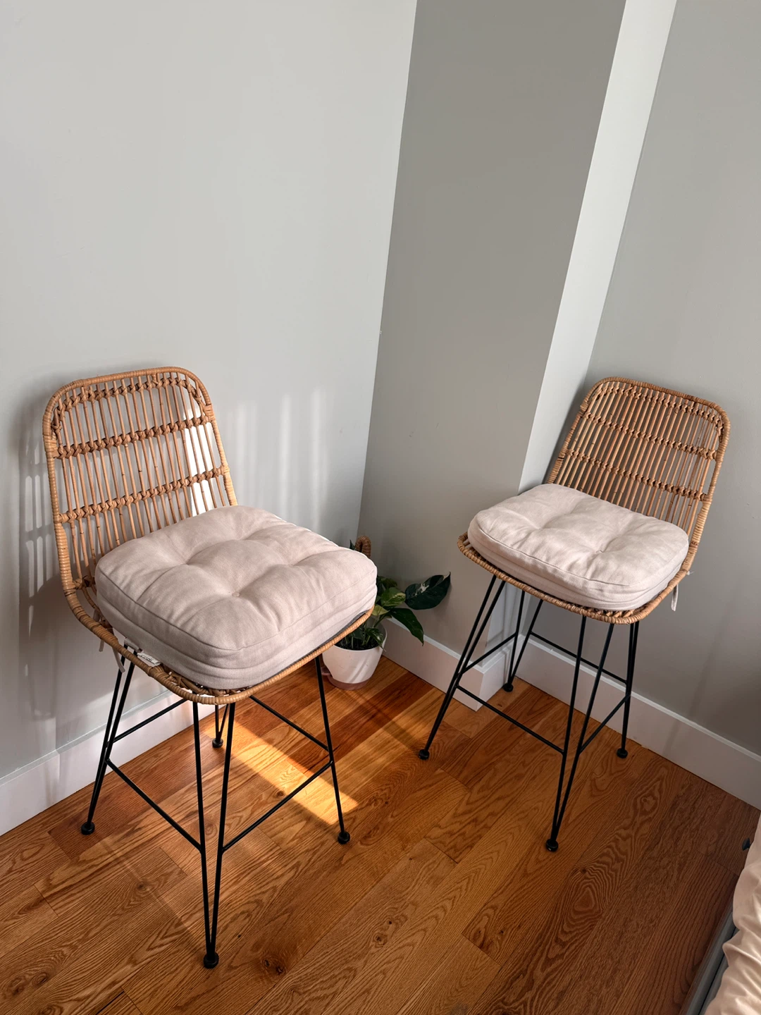 Beautiful Rattan Bar Stools with cushions