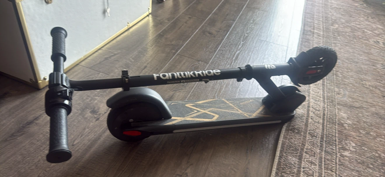 Fanttik Ride Electric Scooter