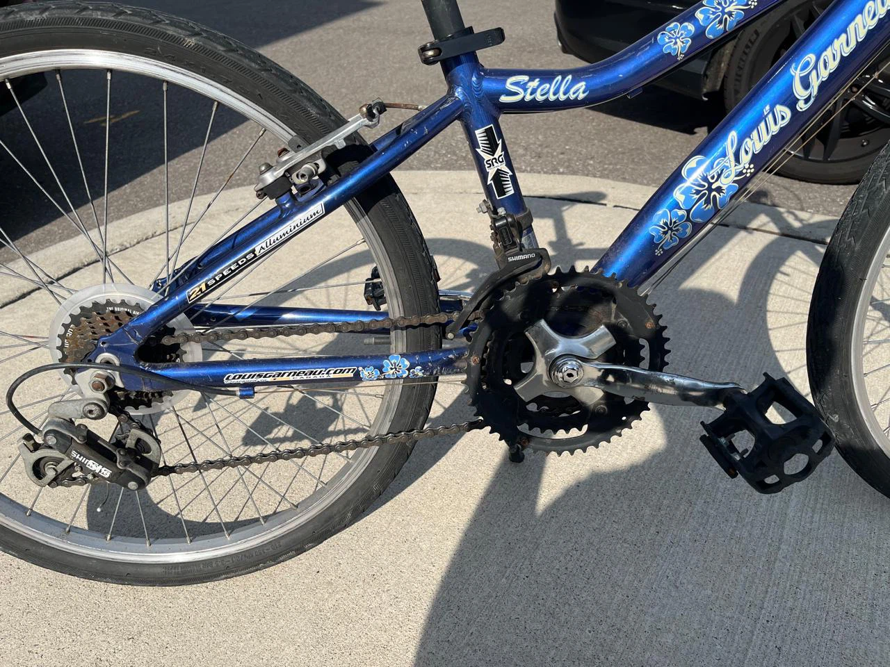 Louis Garneau Stella 21-Speed Bicycle - photo 3