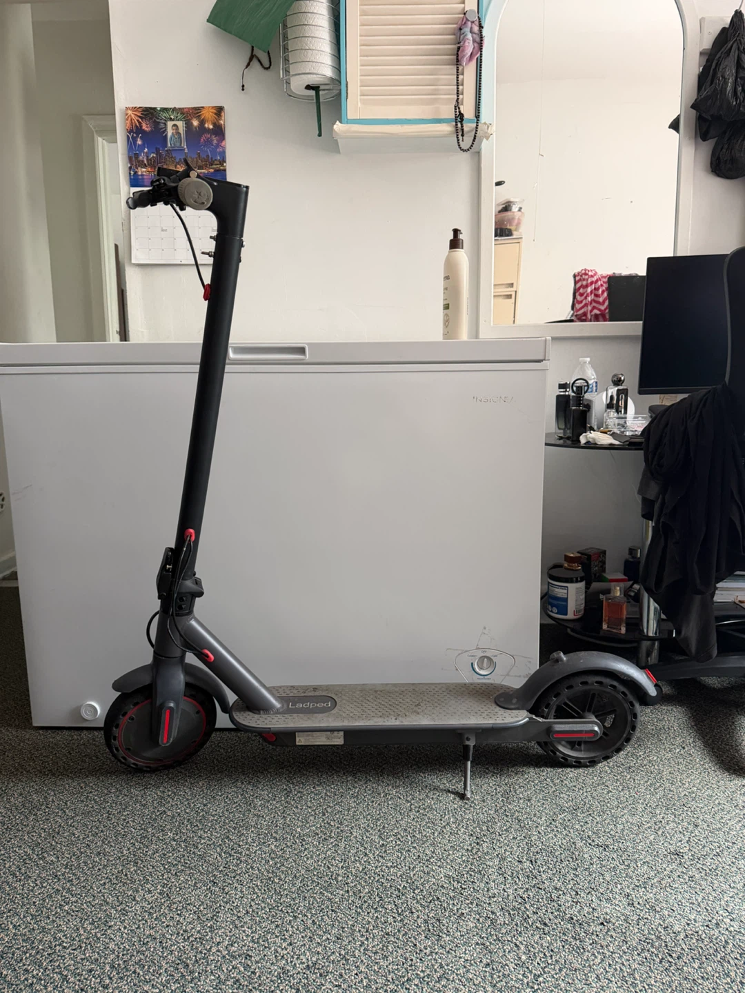 Ladped Electric Scooter