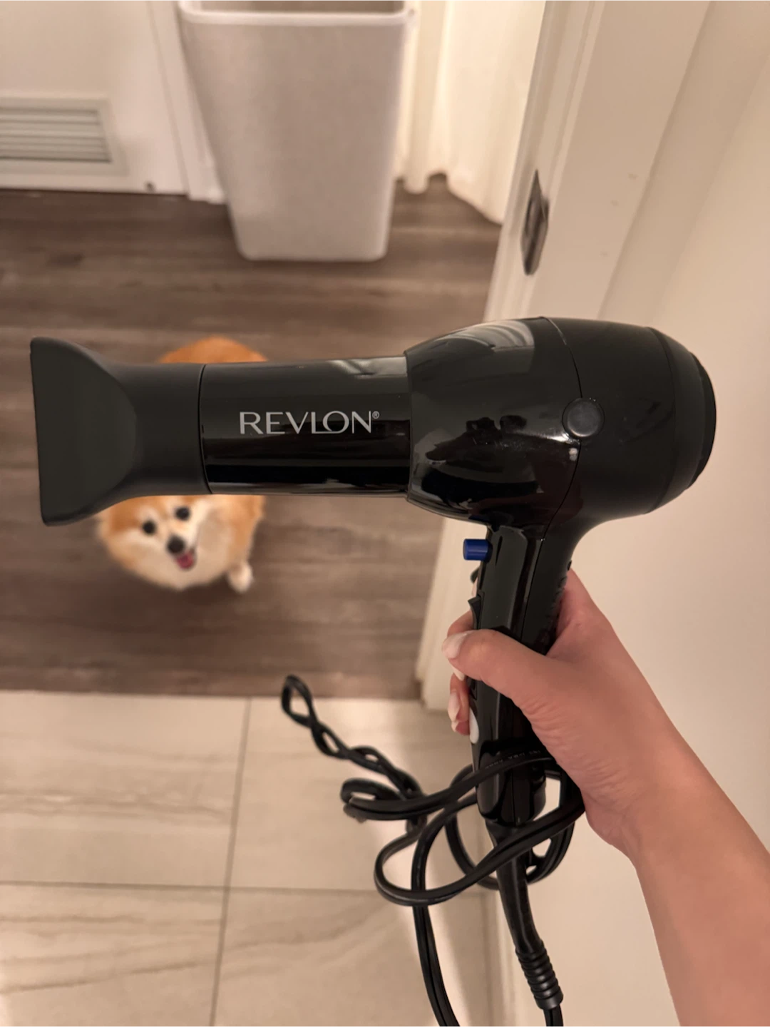 Revlon Hair Dryer