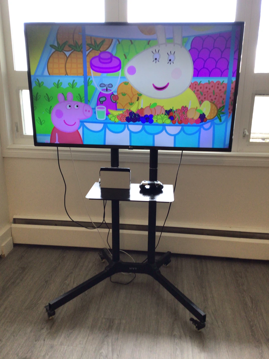 LG Flat Screen TV with VIVO Rolling Stand