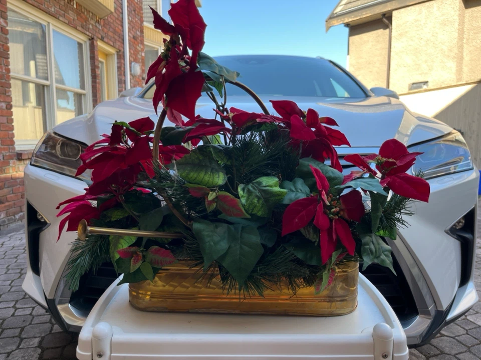 Holiday Traditions Poinsettia Arrangement