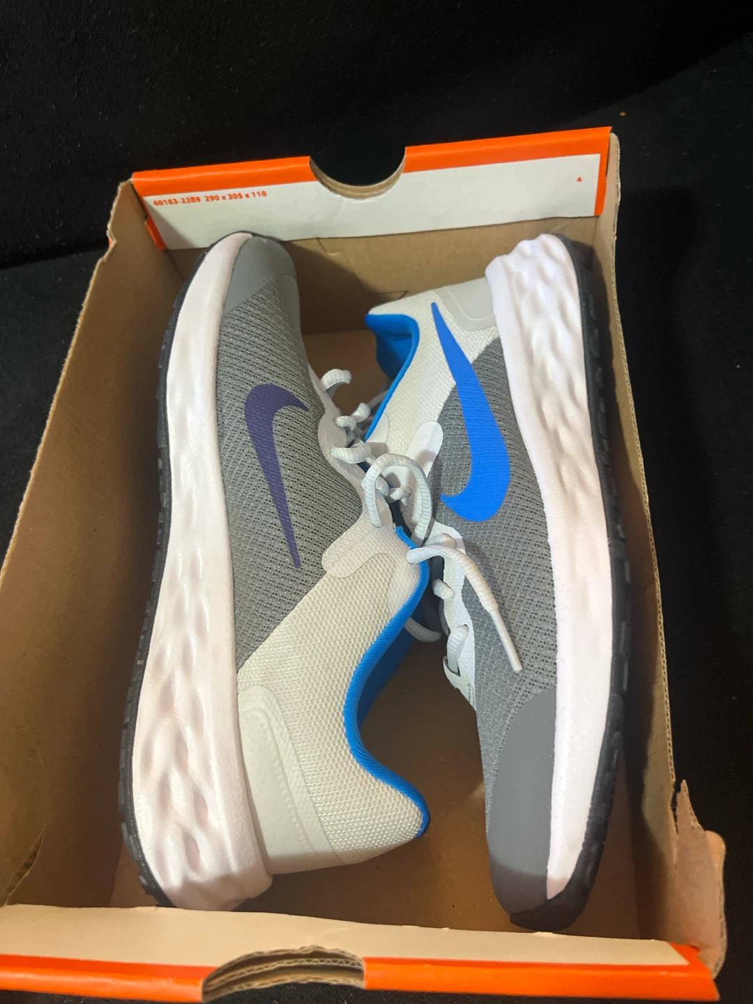Nike Revolution 6 NN Cool Grey/Photo Blue Shoes