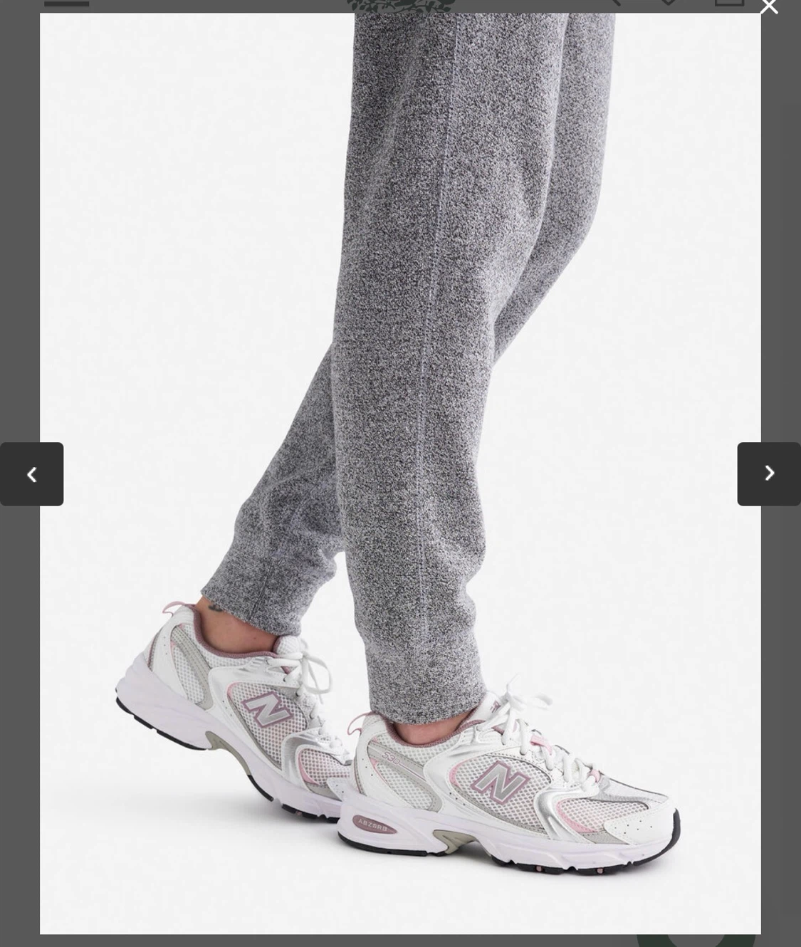 Roots Grey Sweatpants - photo 3