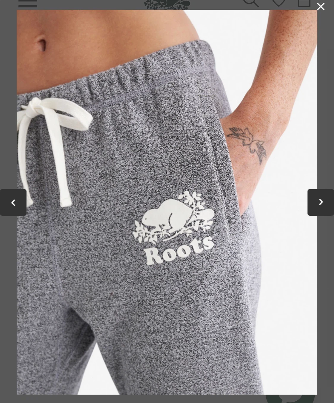 Roots Grey Sweatpants - photo 4