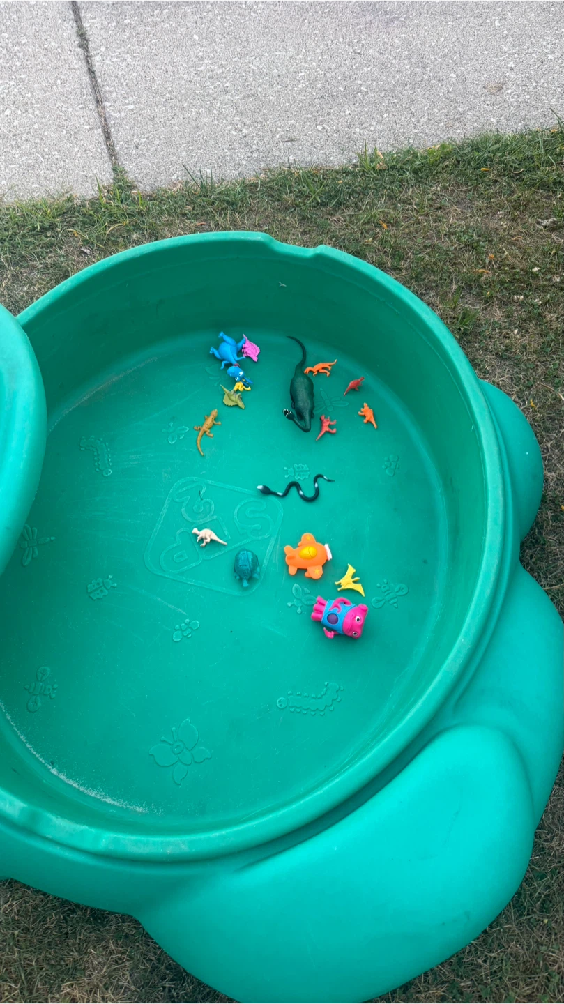 Step2 Frog Sandbox with Lid - photo 3