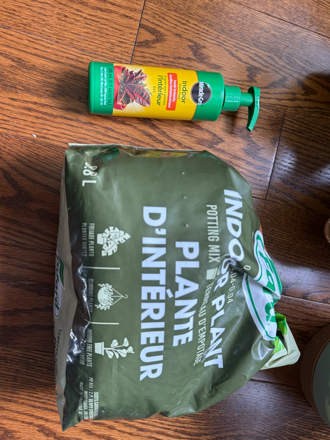 ZZ Plant + Potting Mix + Miracle-Gro Indoor Plant Food — $25 - photo 3