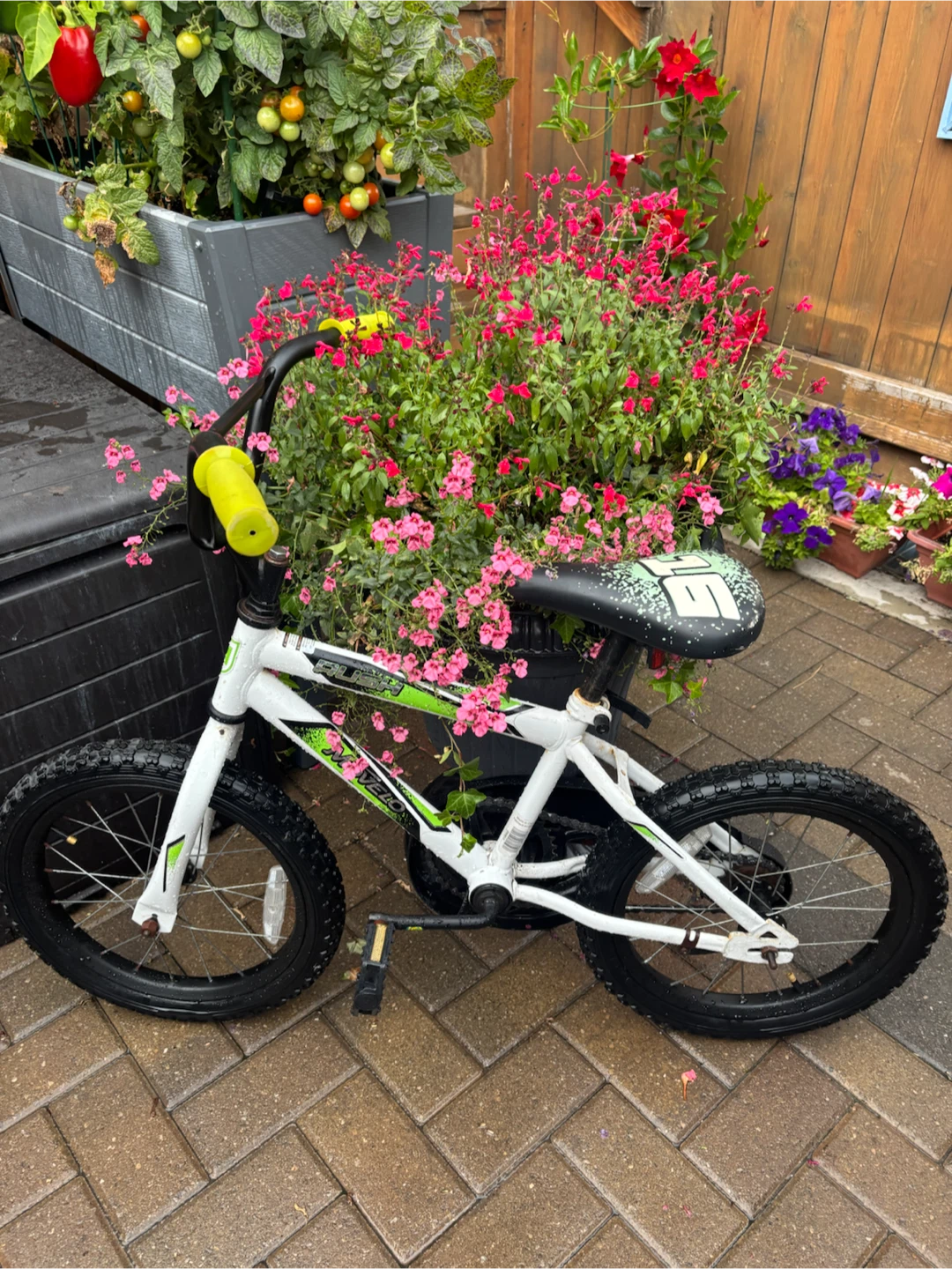 Movelo Rush 16 inch Kids Bike