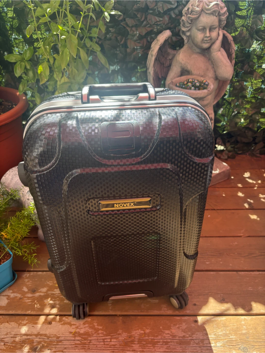 Novex Hardside Carry-On Luggage