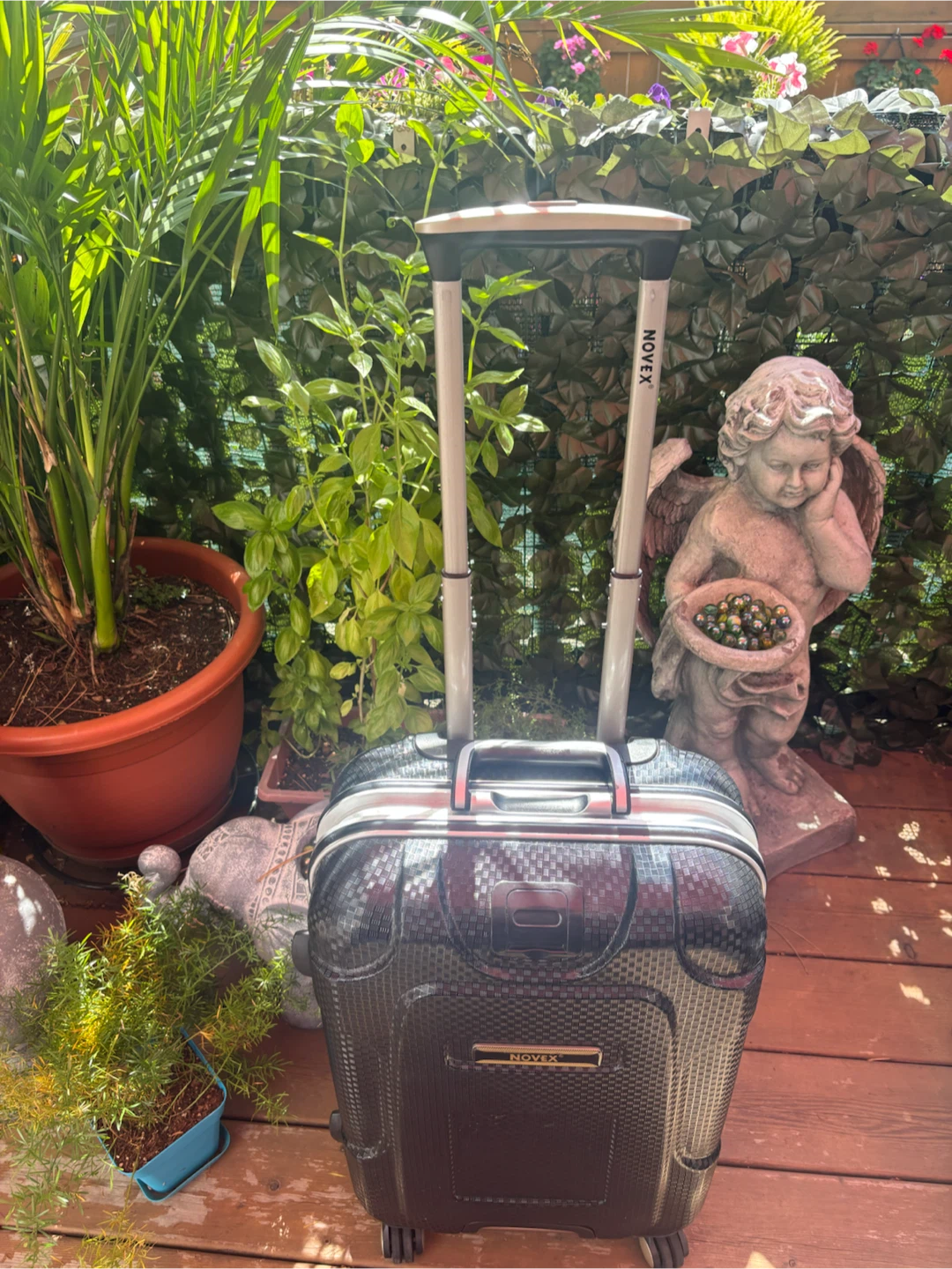 Novex Hardside Carry-On Luggage - photo 2