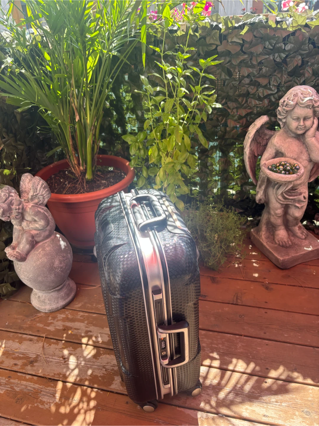 Novex Hardside Carry-On Luggage - photo 3