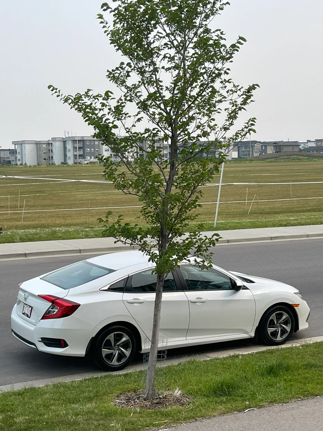 White Honda Civic
