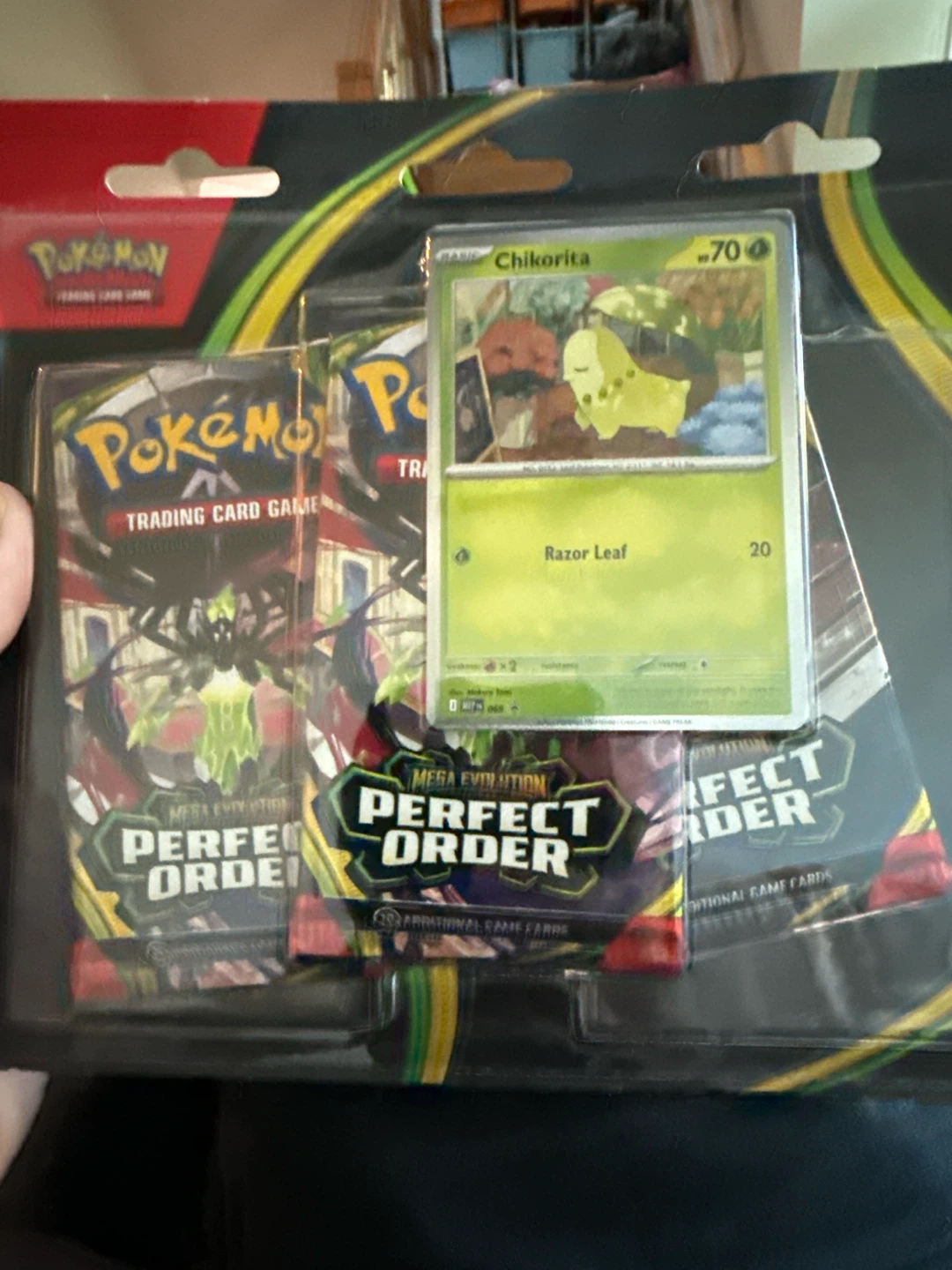 Pokémon Trading Card Game Perfect Order Set