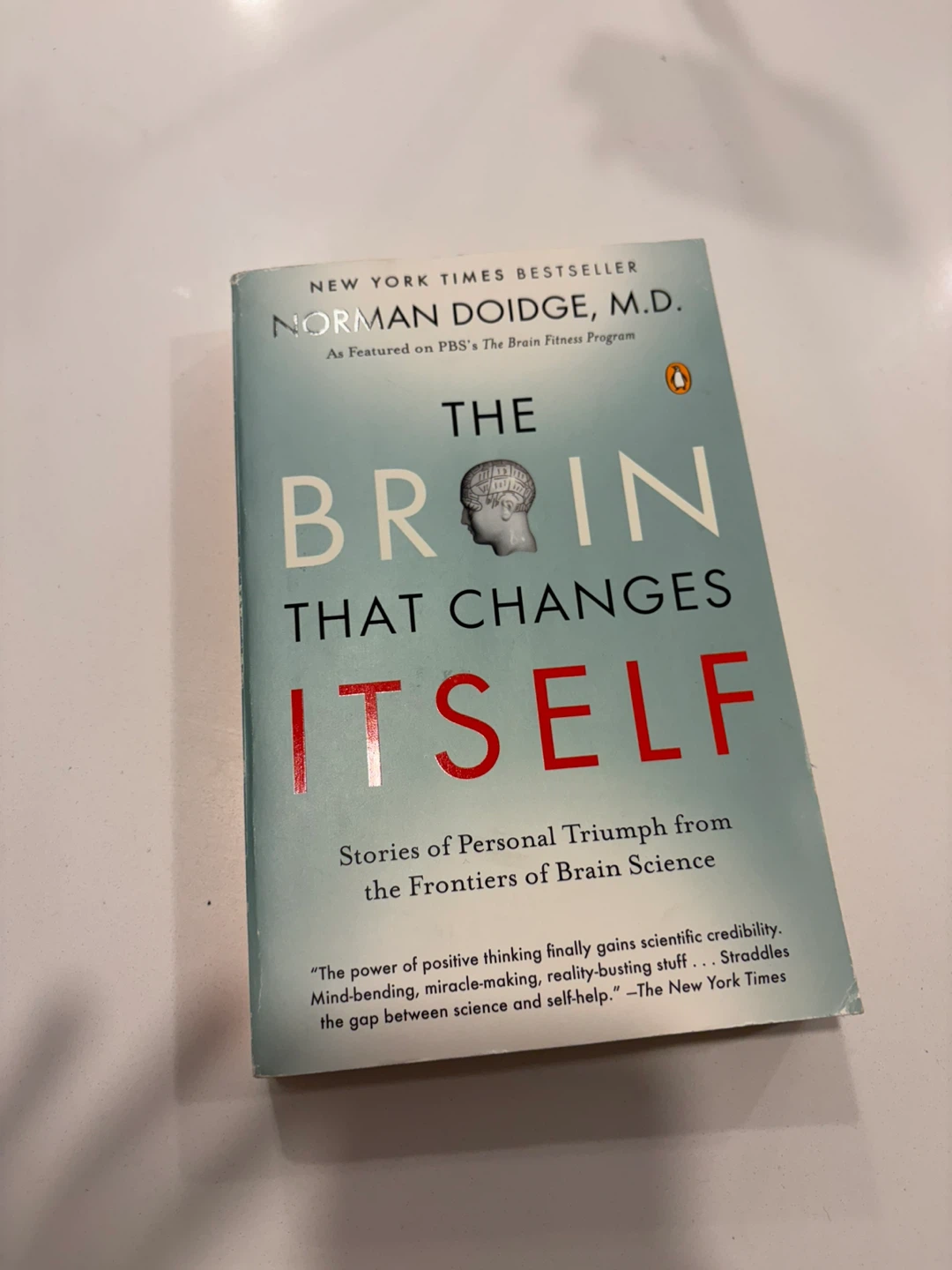 The Brain That Changes Itself by Norman Doidge