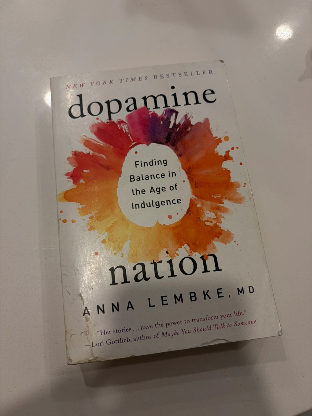 Dopamine Nation by Anna Lembke