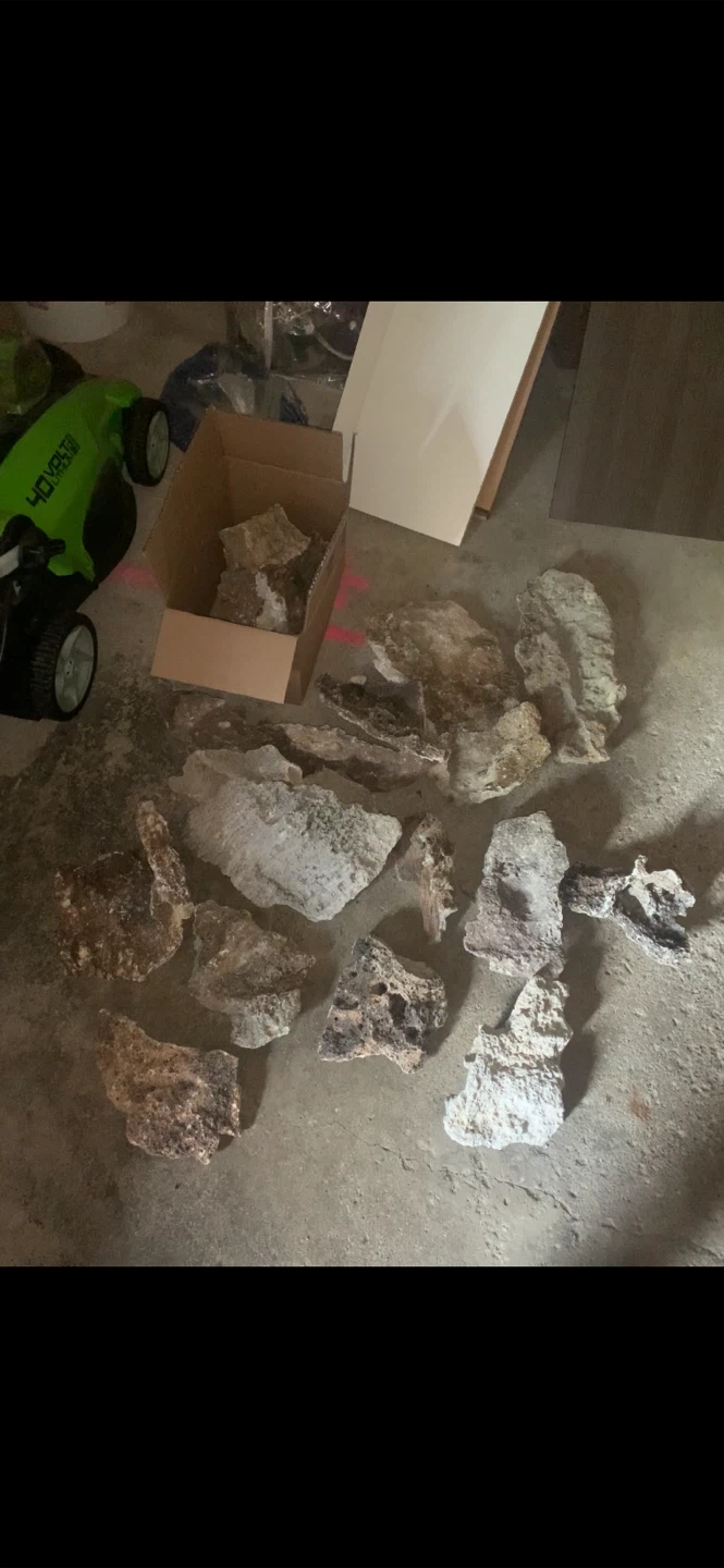 Assorted Aquarium Rocks