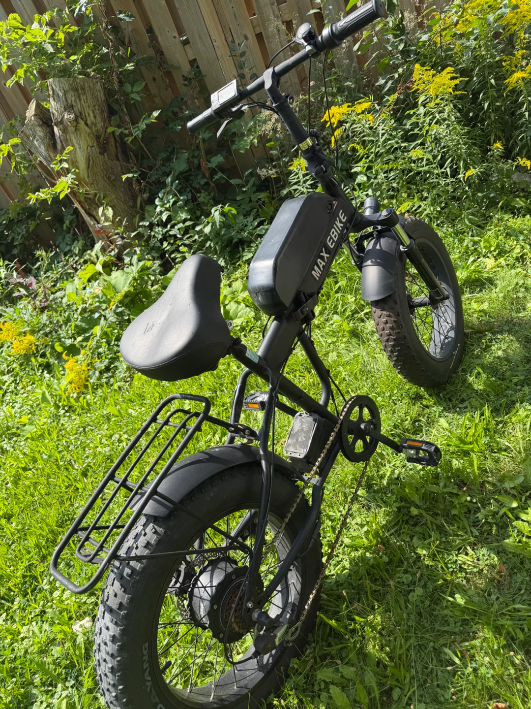 Max Ebike Fat Tire Folding Electric Bike