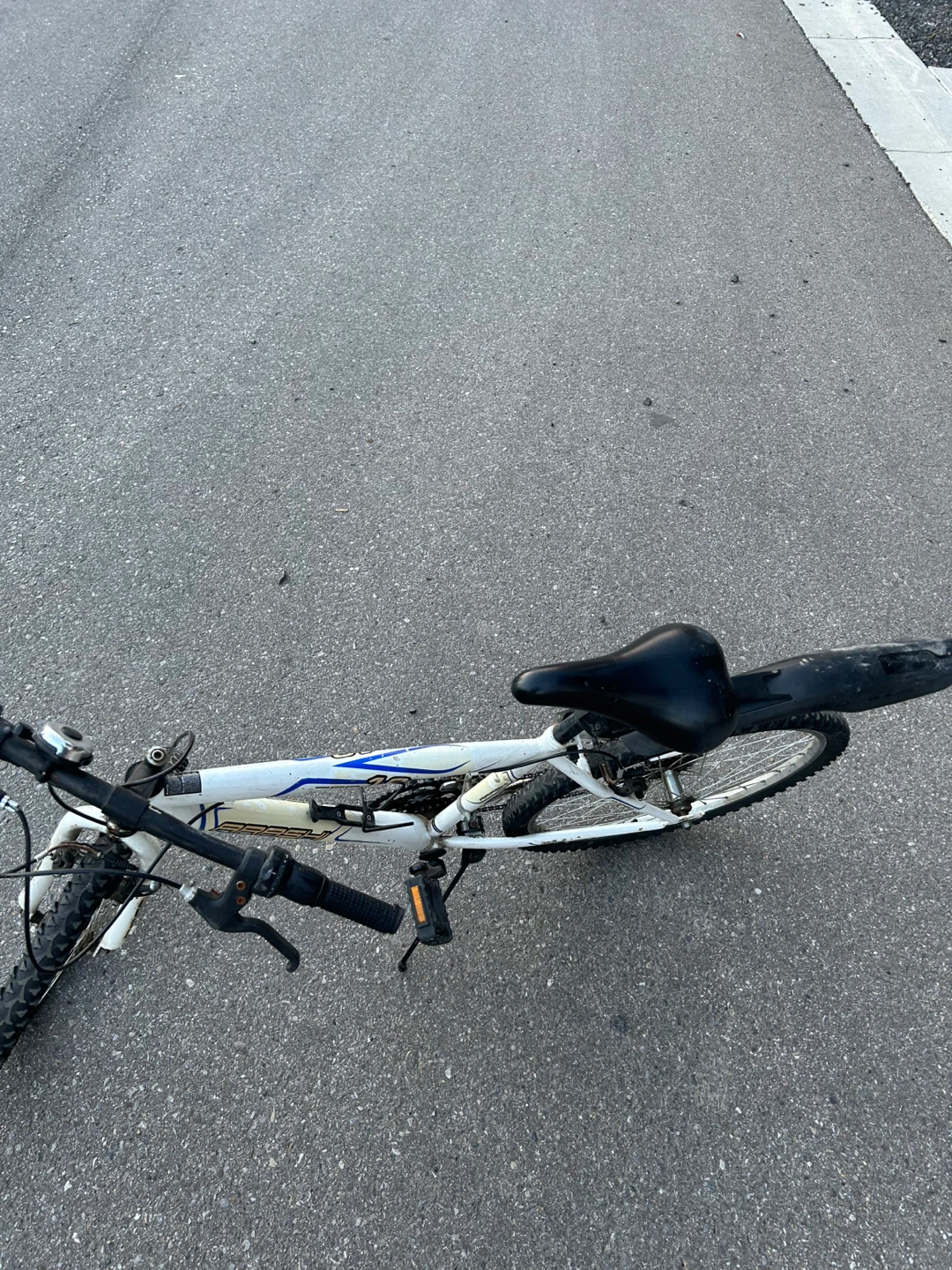 Arashi 1.0 Mountain Bike - photo 5