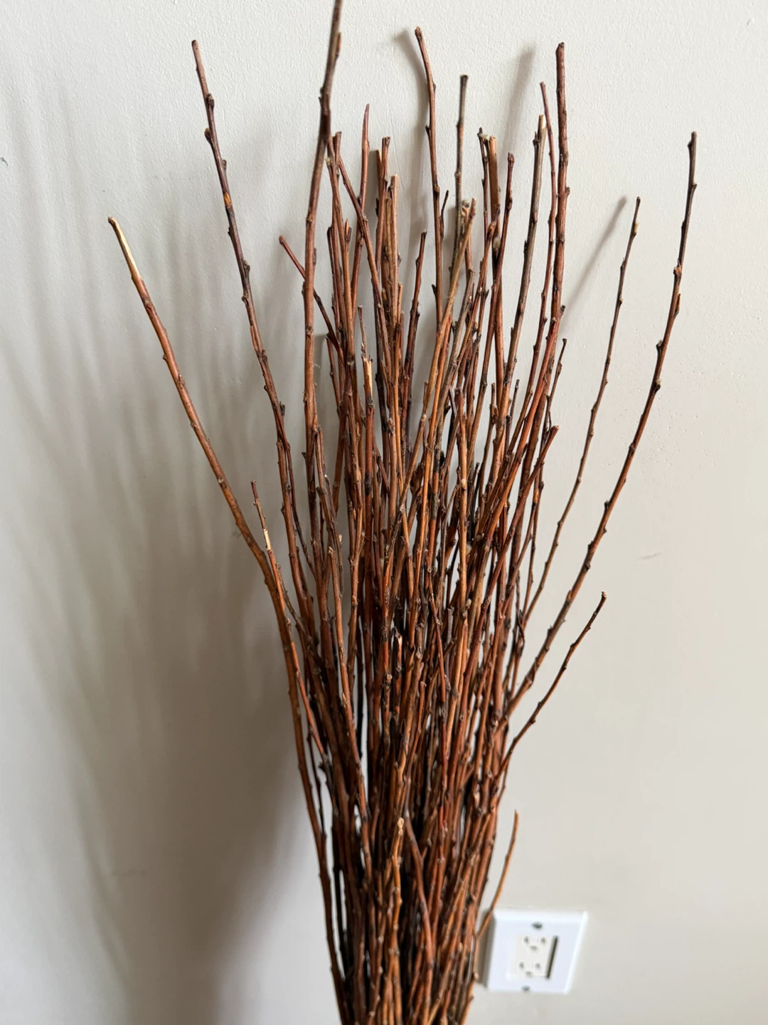 Decorative Dried Twig Bundle