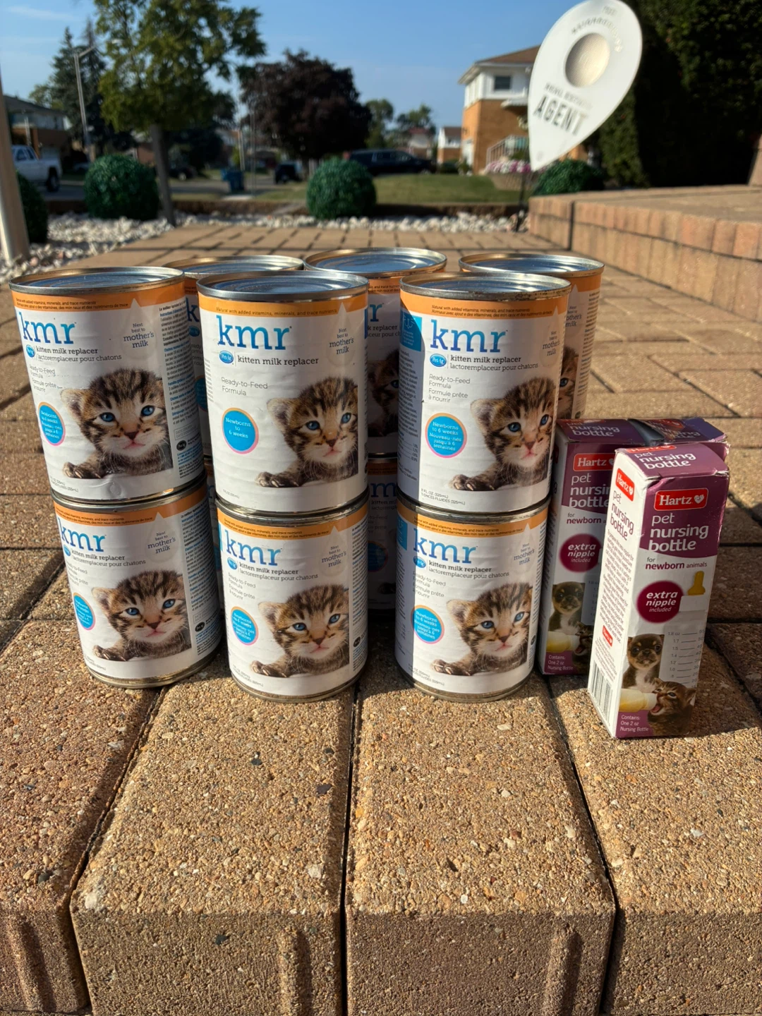 KMR Kitten Milk Replacement (12) and Bottles