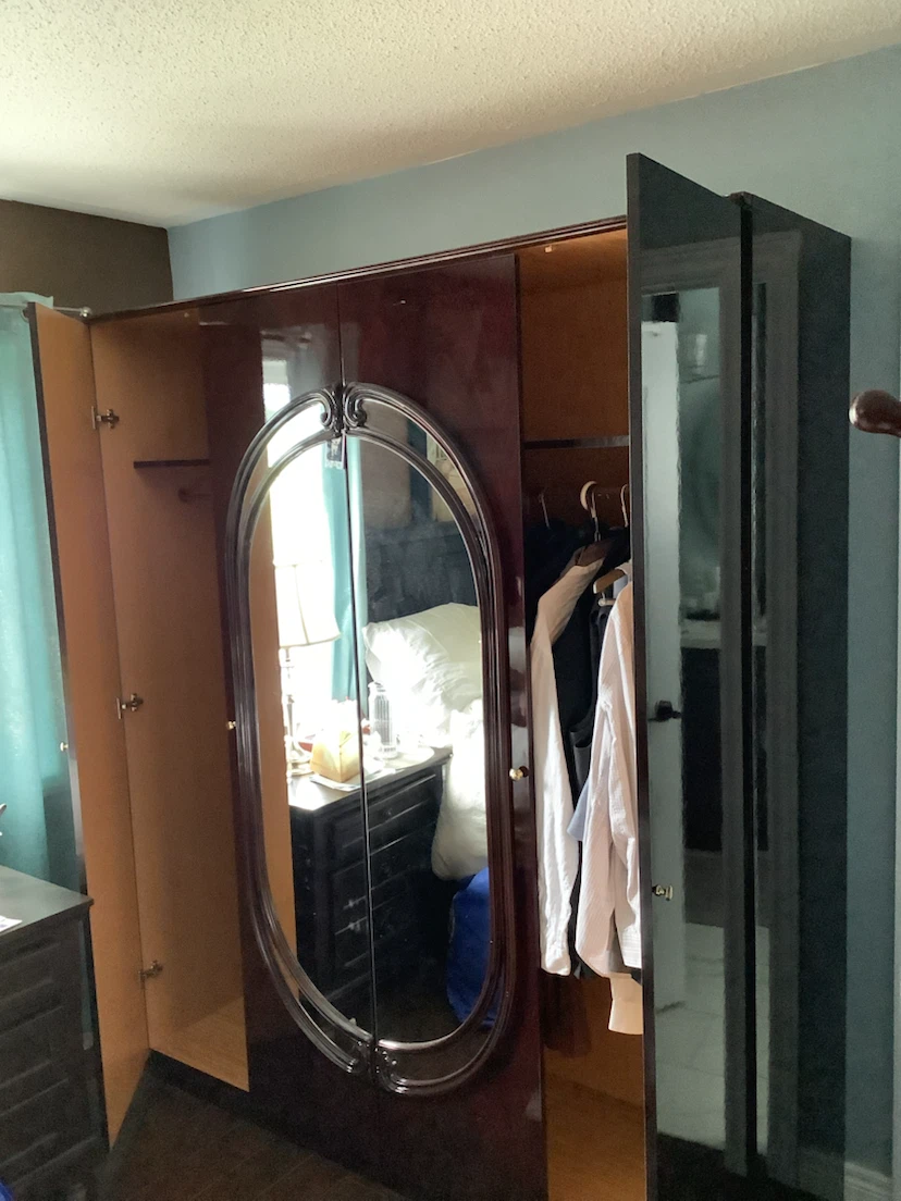 Armour/ walk in closet