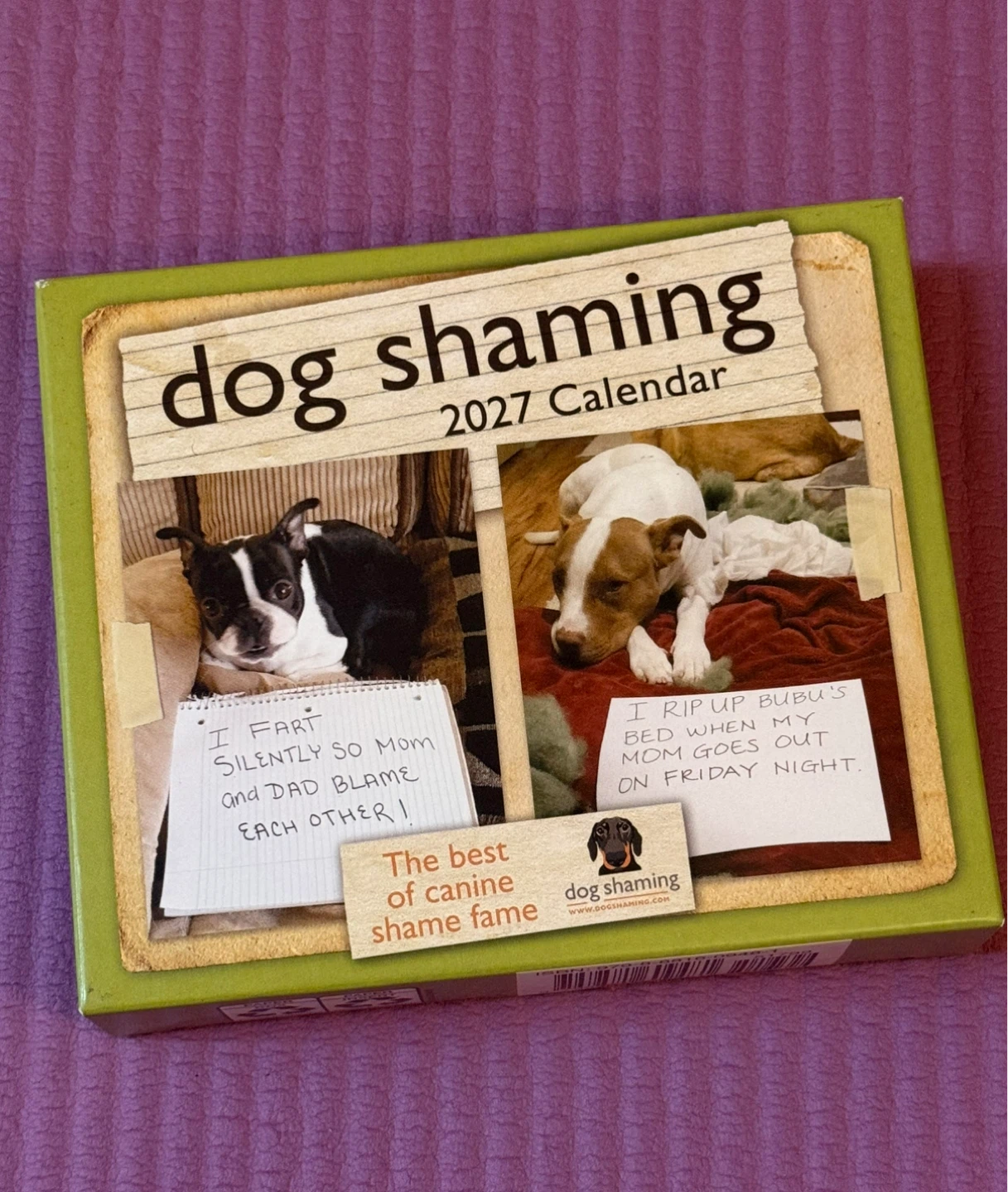 NEW✨2027 Day-to-Day Calendar -Dog Shaming