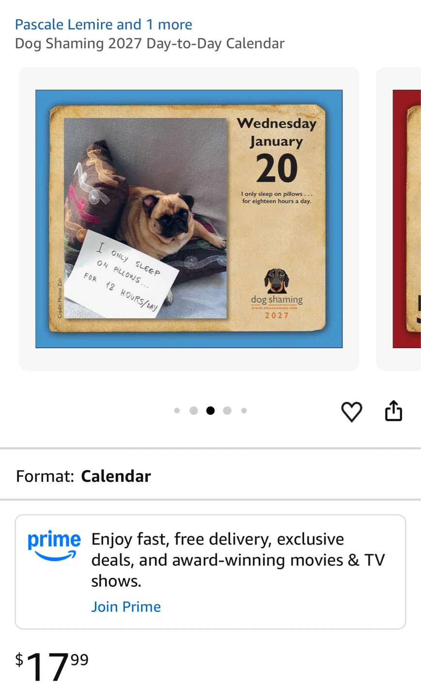 NEW✨2027 Day-to-Day Calendar -Dog Shaming - photo 4
