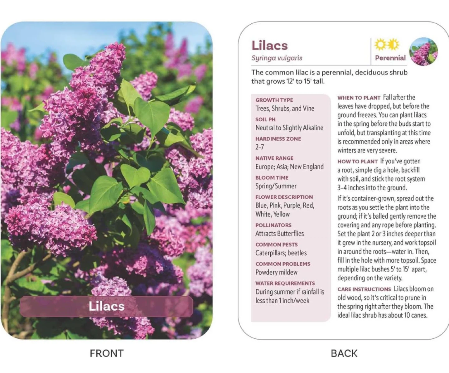 NEW✨The Flower Garden Deck by Jon VanZile - photo 5