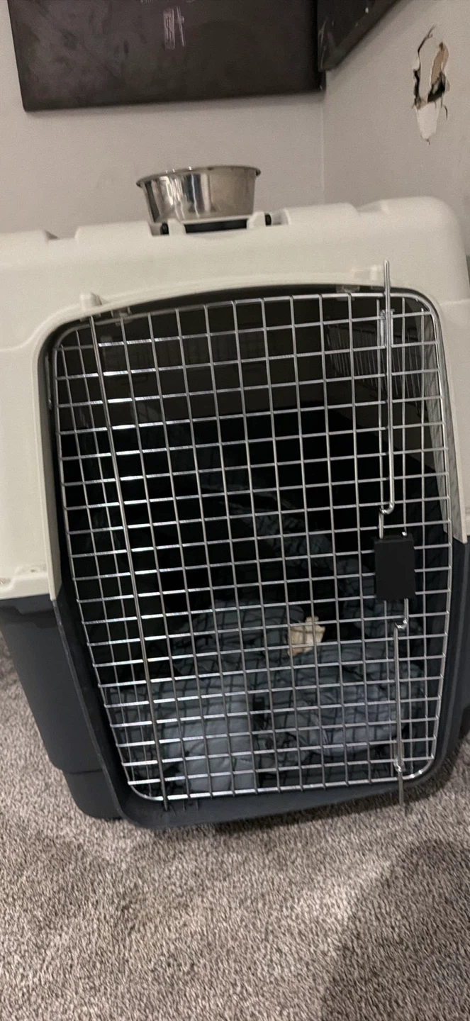 Large Dog Crate/Kennel