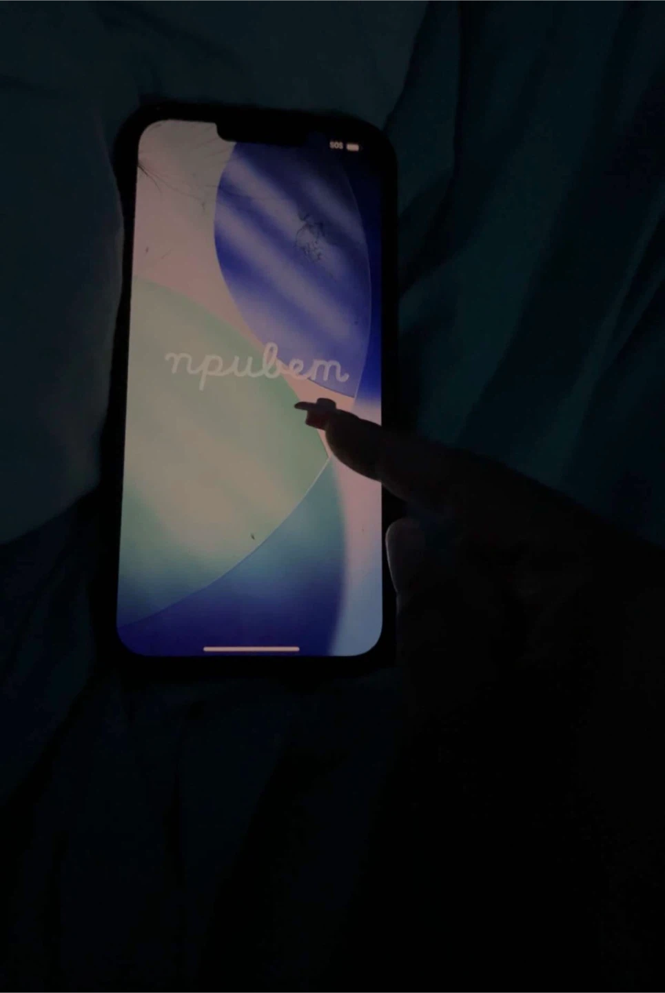 iPhone 13 Pro Max READ DESCRIPTION