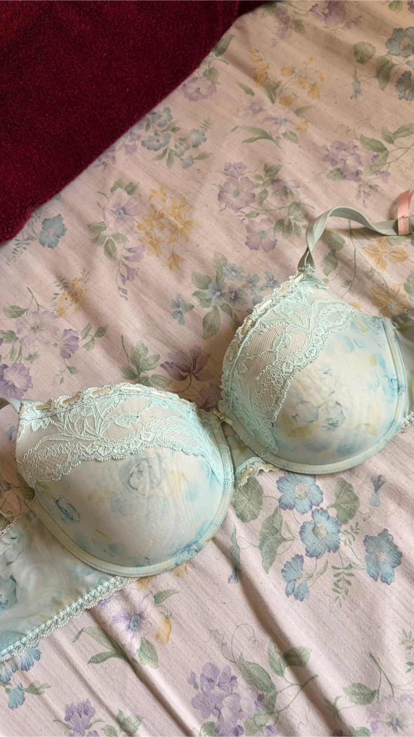 La Vie en Rose Floral Lace Bra 36DD