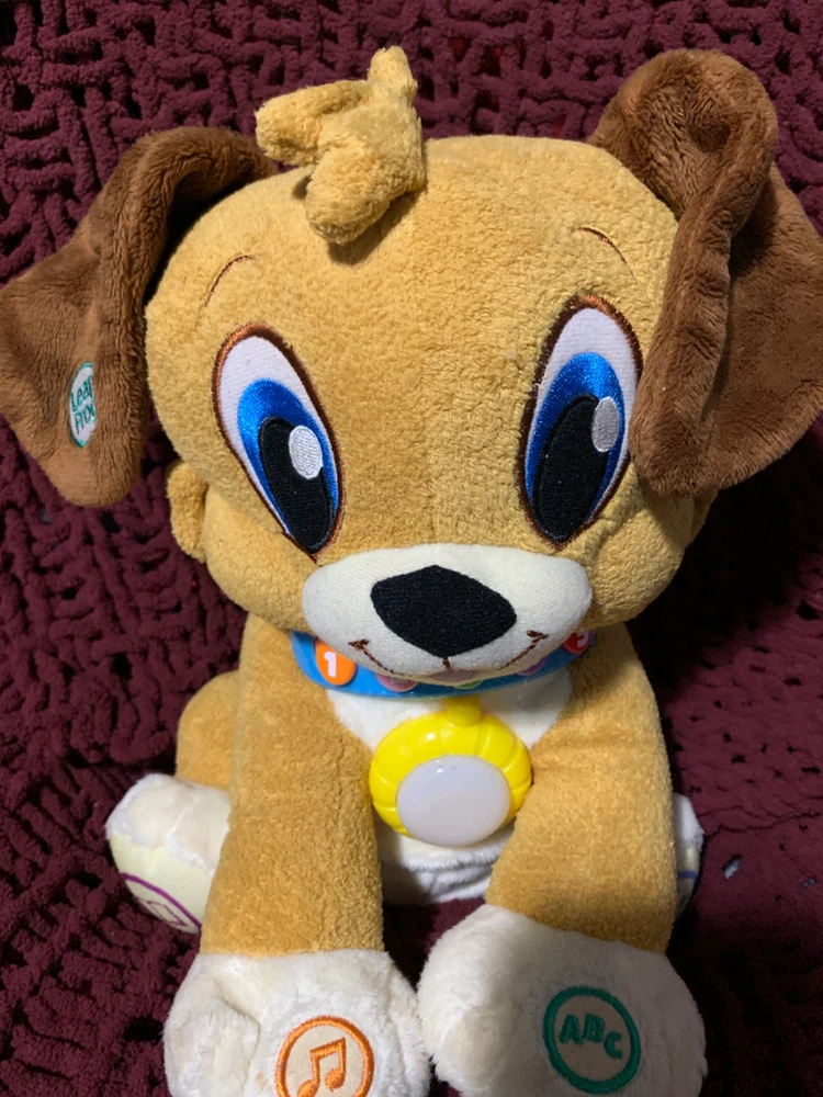 LeapFrog Speak & Learn Puppy