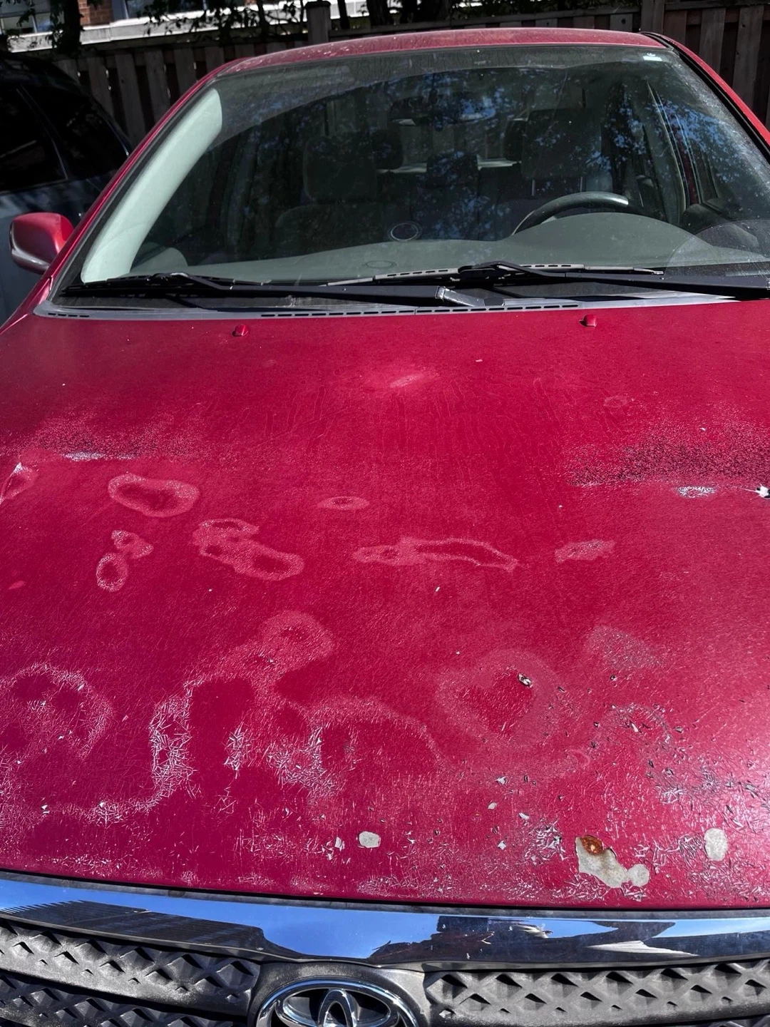 Red Toyota Corolla LE Sedan 2008