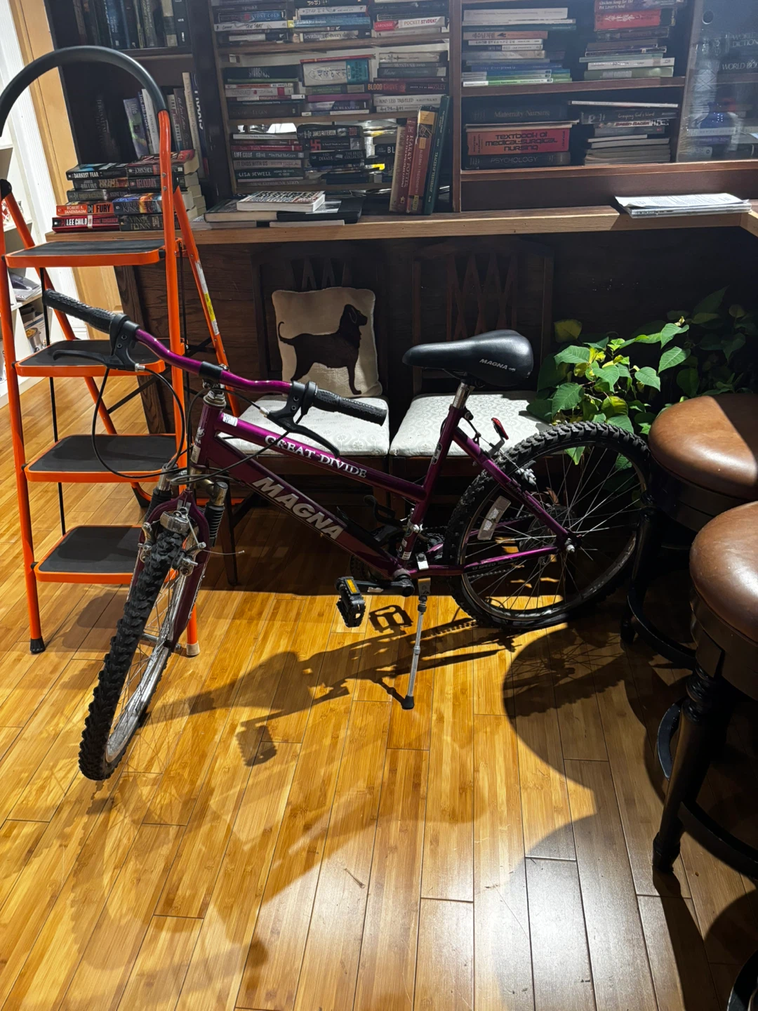 Magna Great Divide 24-inch Mountain Bike