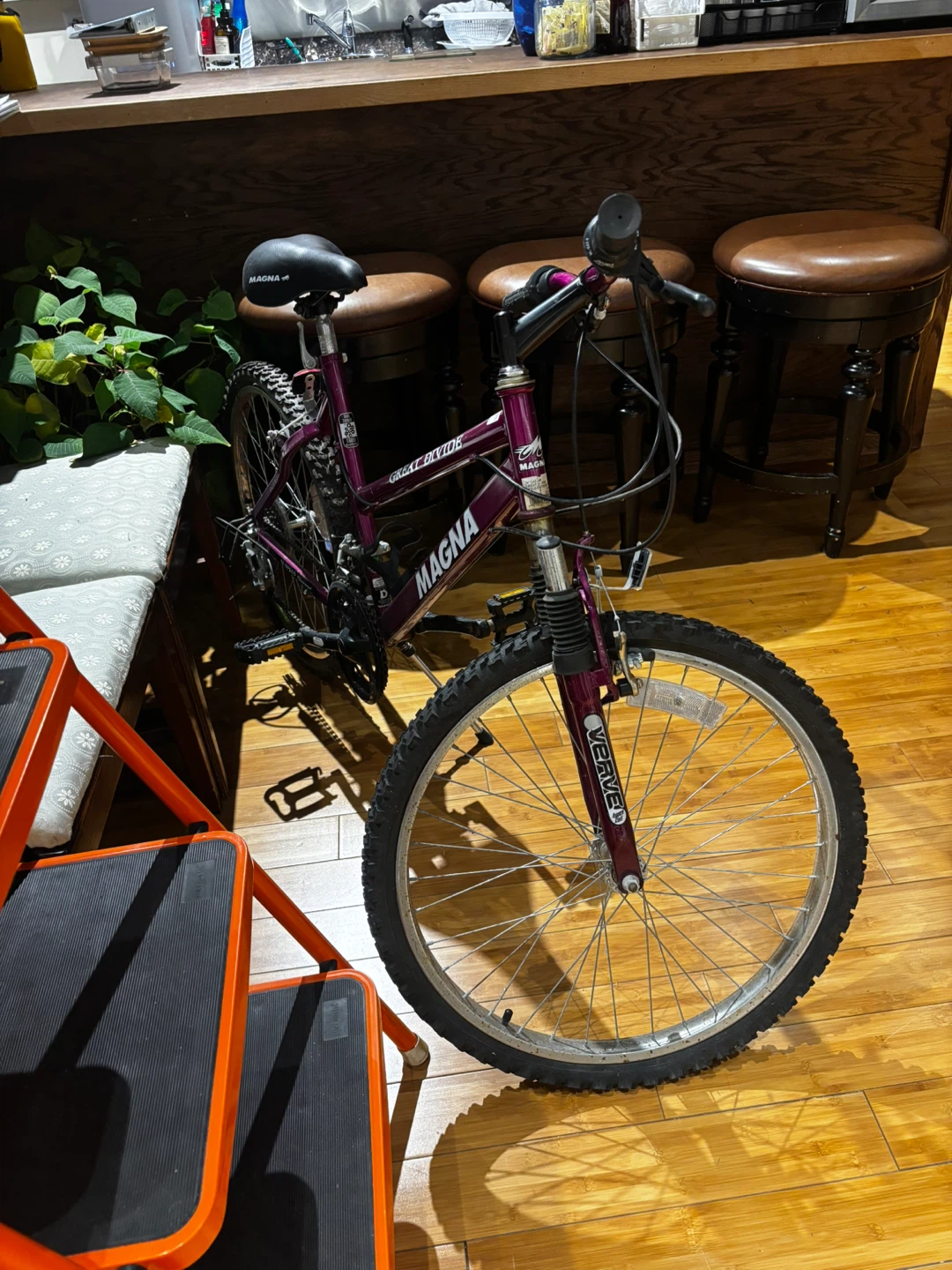 Magna Great Divide 24-inch Mountain Bike - photo 3