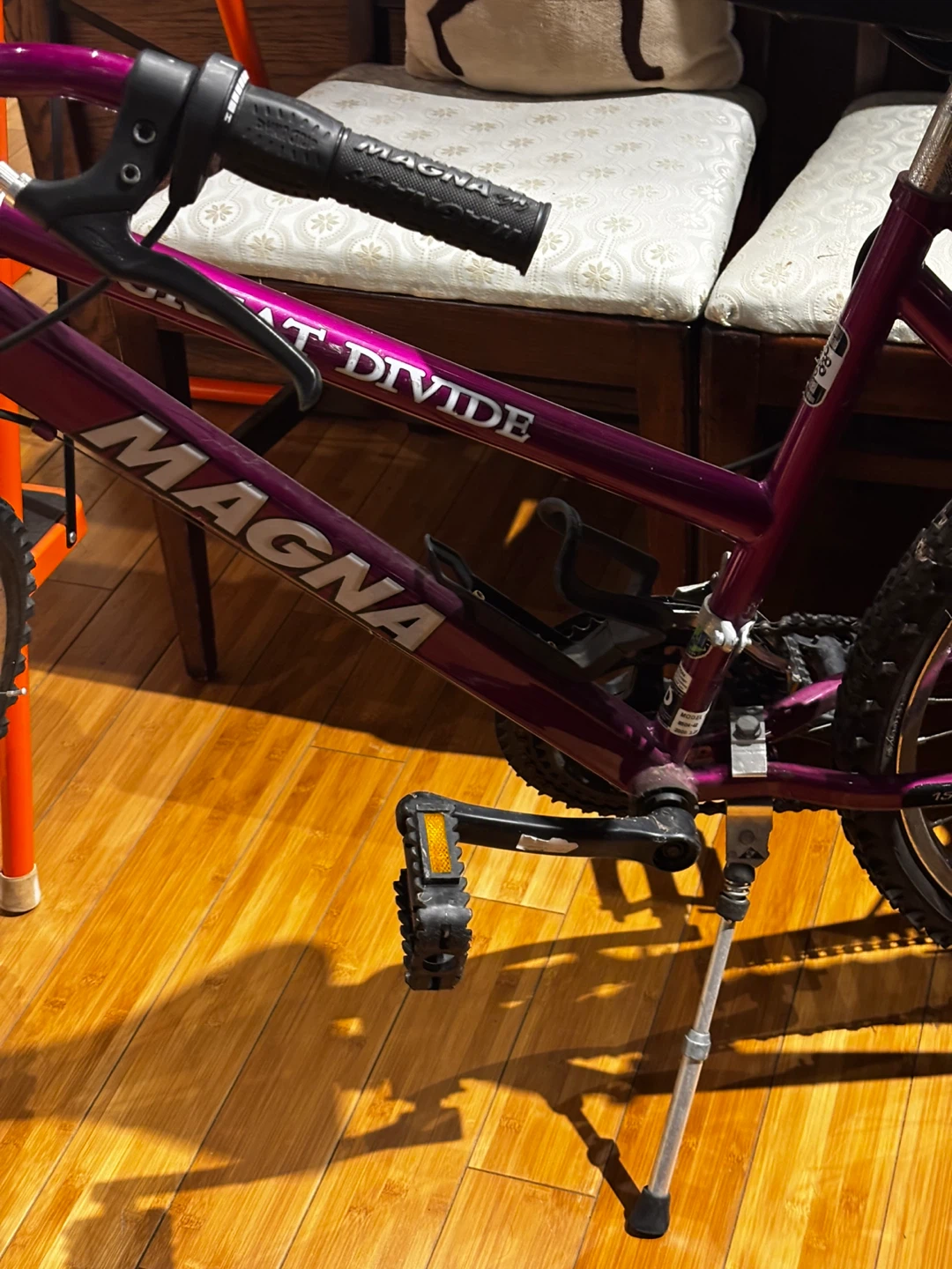 Magna Great Divide 24-inch Mountain Bike - photo 5
