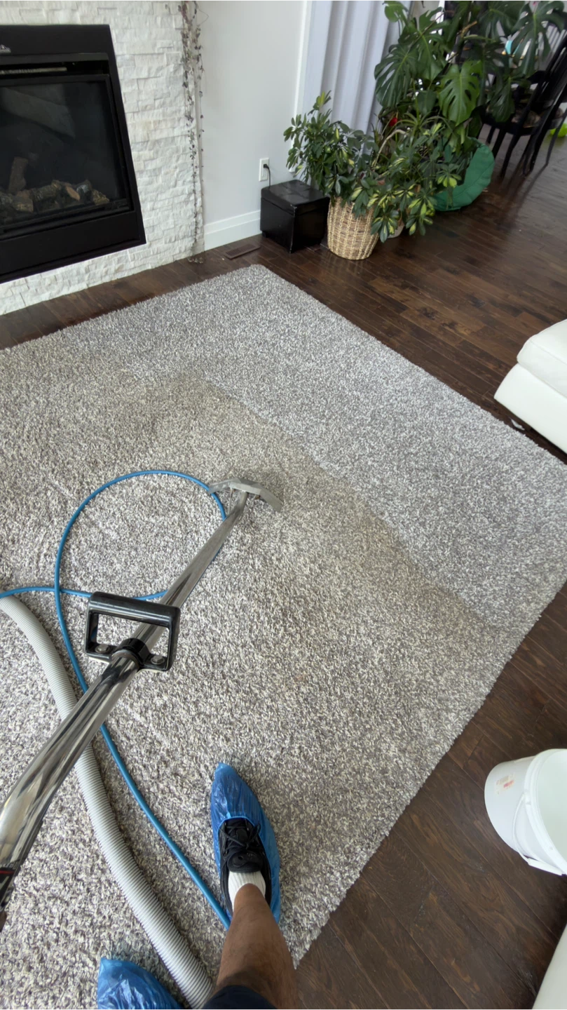 Carpet/upholstery/ cleaner··||