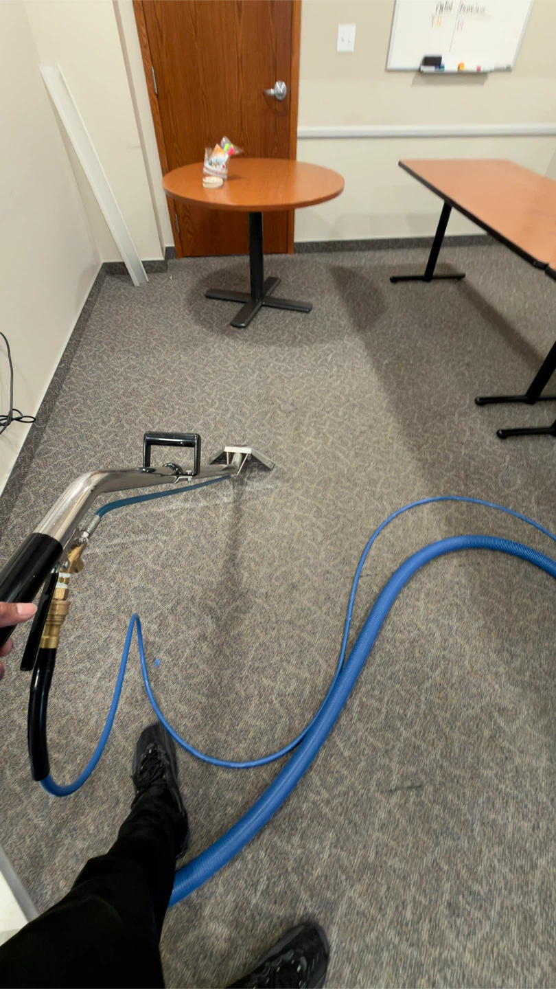 Carpet/upholstery/ cleaner··||